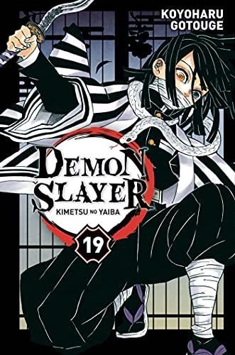 Demon slayer T.19 : Demon slayer